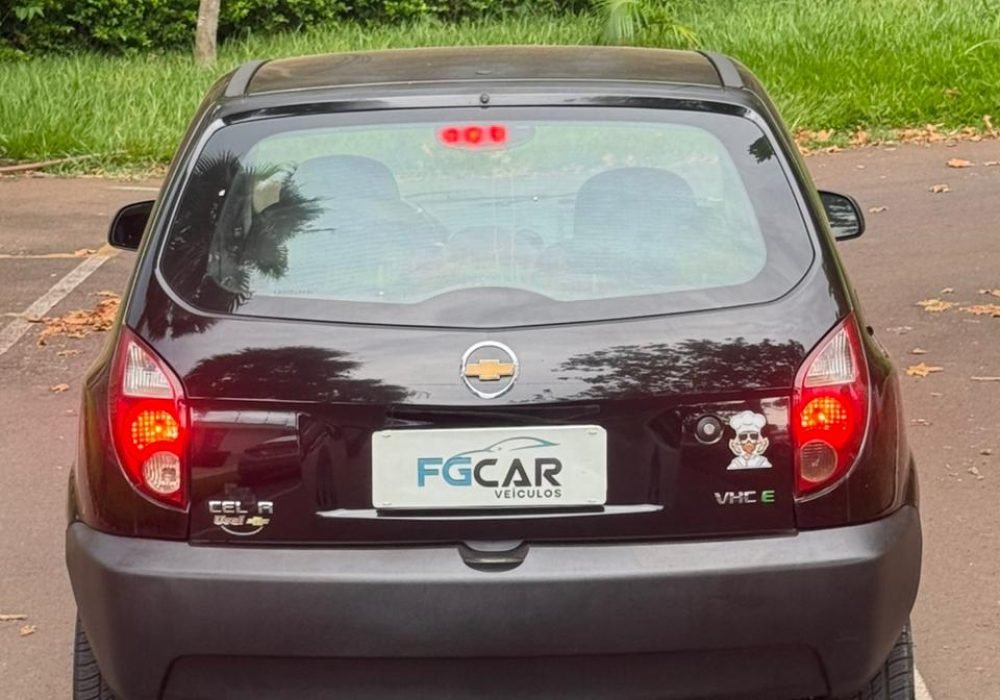 WhatsApp Image 2026-01-31 at 11.13.44 (1)