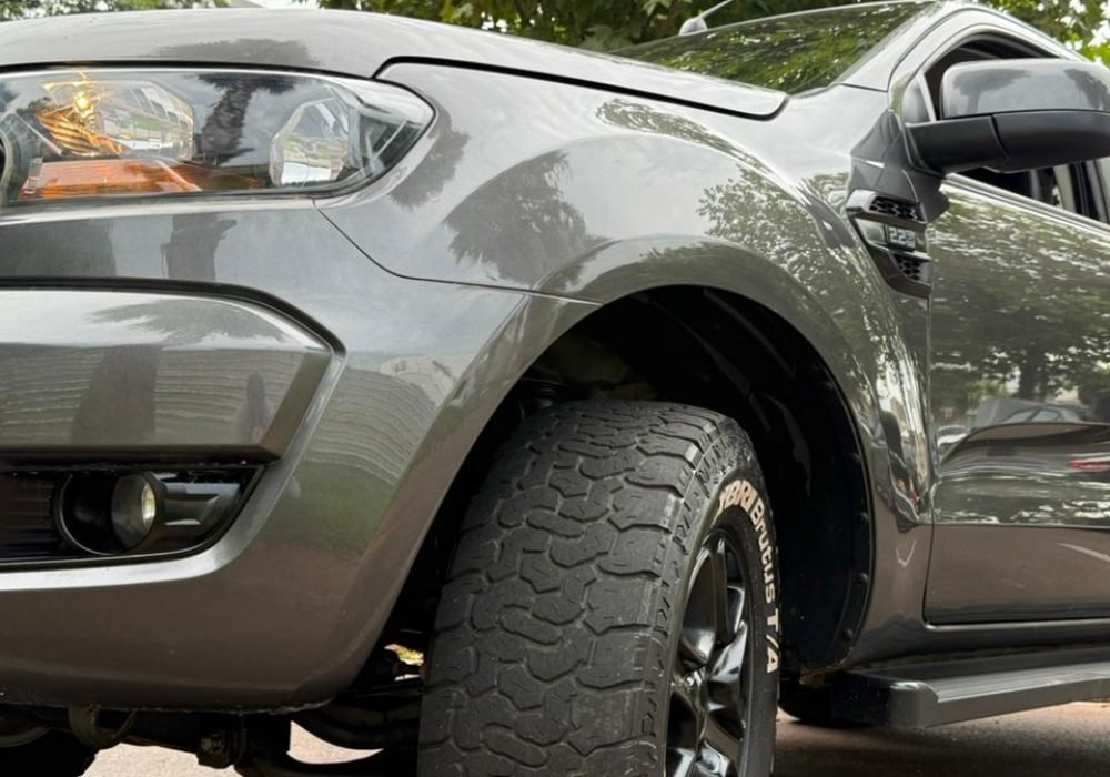 WhatsApp Image 2026-02-19 at 09.31.42