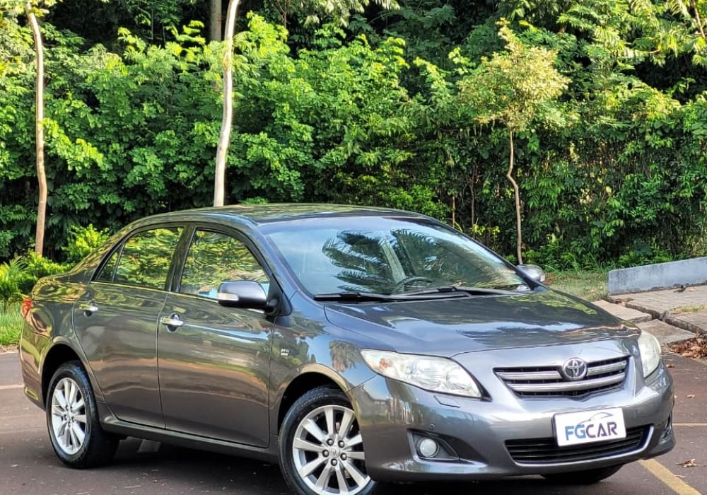 WhatsApp Image 2026-03-05 at 17.53.42 (1)