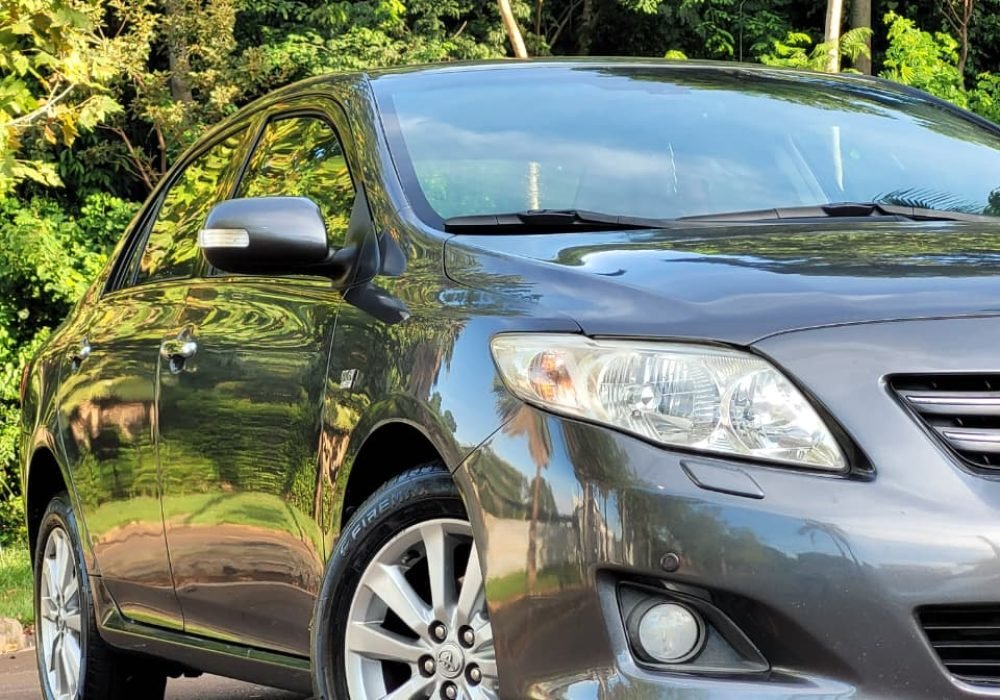 WhatsApp Image 2026-03-05 at 17.53.42