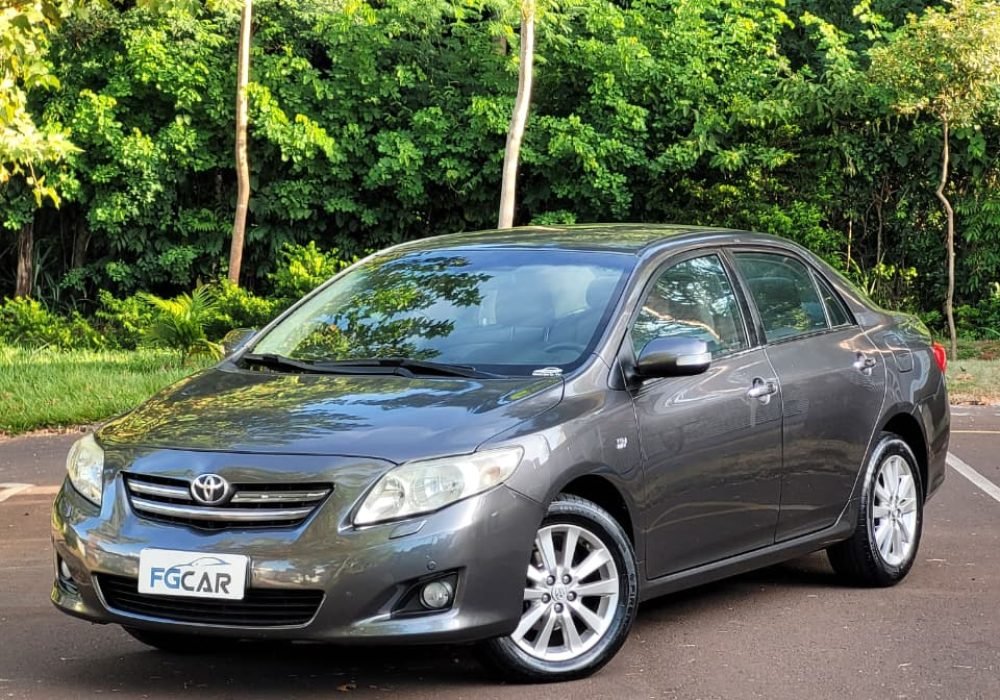 WhatsApp Image 2026-03-05 at 17.53.44