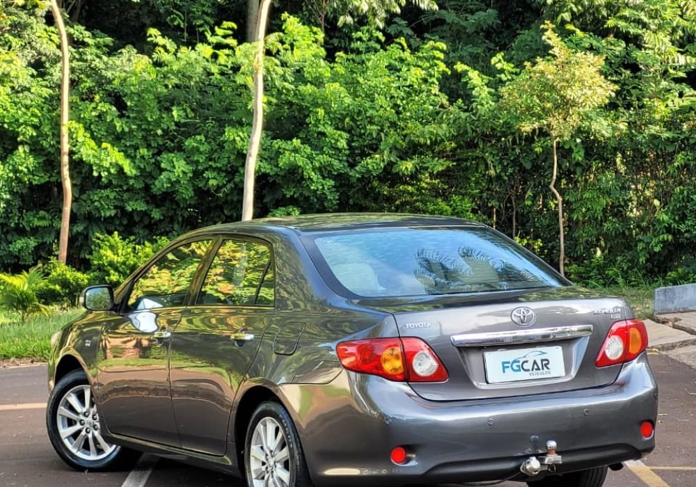 WhatsApp Image 2026-03-05 at 17.54.16 (1)