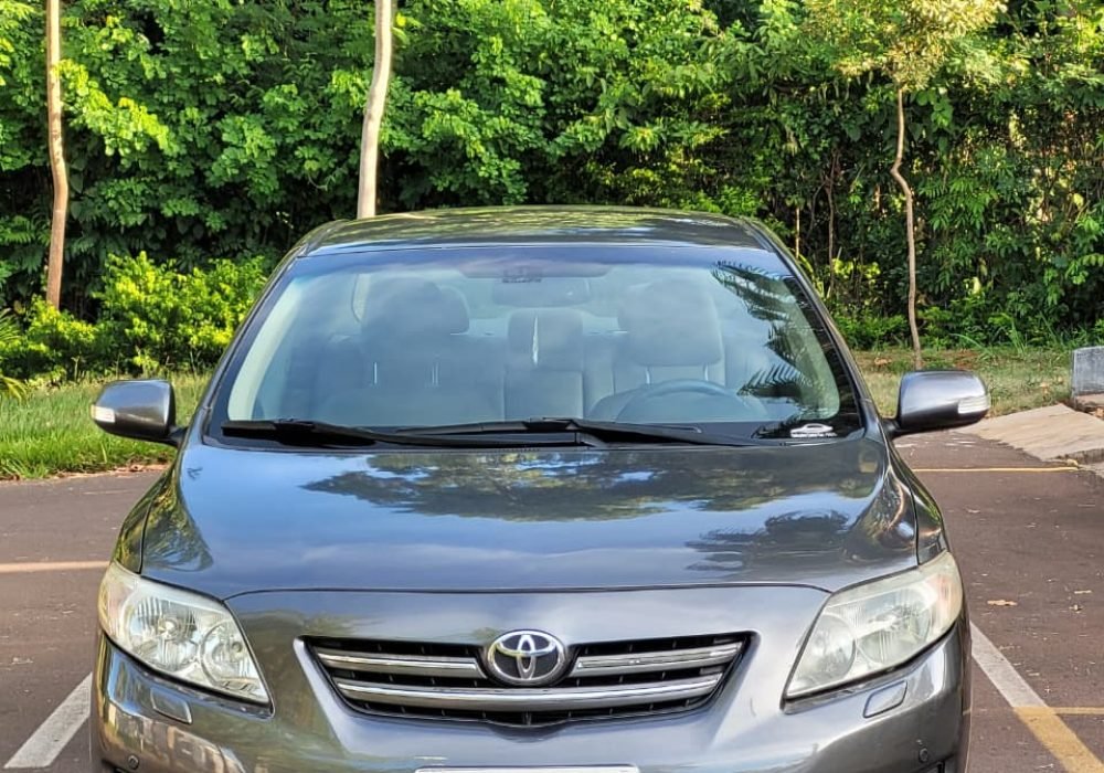 WhatsApp Image 2026-03-05 at 17.54.16