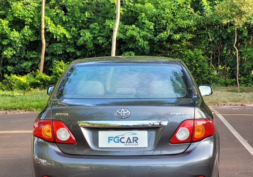 WhatsApp Image 2026-03-05 at 17.54.19